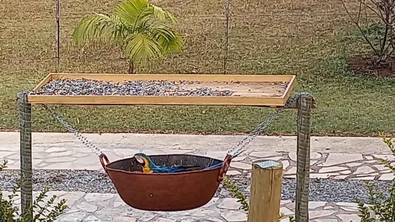 Pousada Canto Dos Passaros Alto Paraíso de Goiás Εξωτερικό φωτογραφία